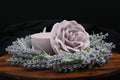 The Endless Bloom | Hand-Painted Concrete Rose Candle, Luxury Home Decor